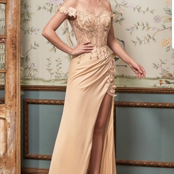 Mia Bella The Label Cinderella Divine Champagne Dress Size medium - Picture 1 of 8